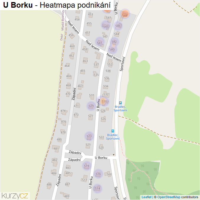 Mapa U Borku - Firmy v ulici.