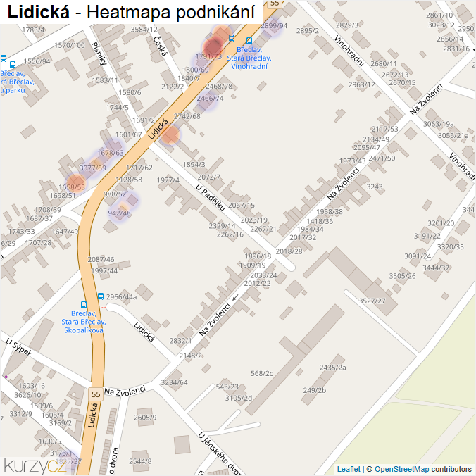 Mapa Lidická - Firmy v ulici.