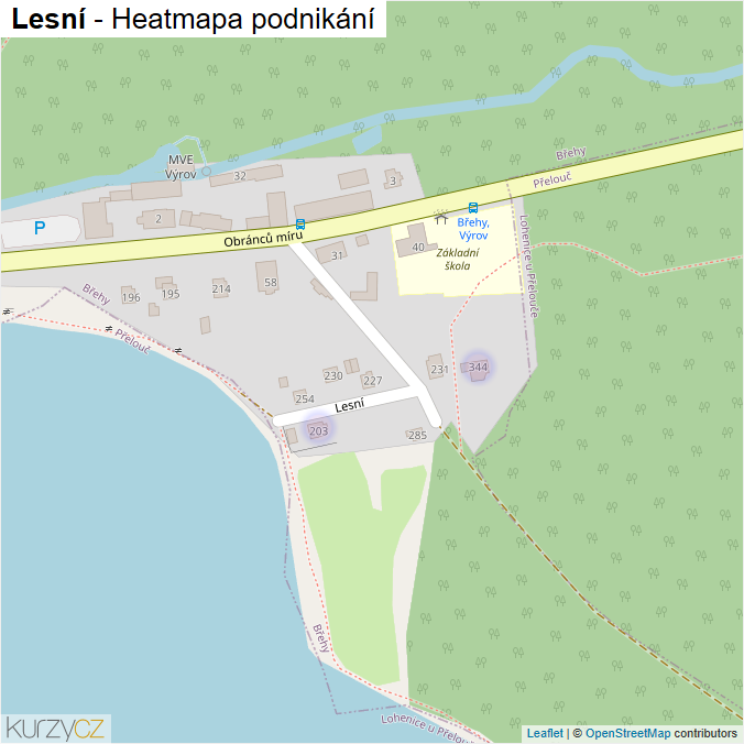 Mapa Lesní - Firmy v ulici.