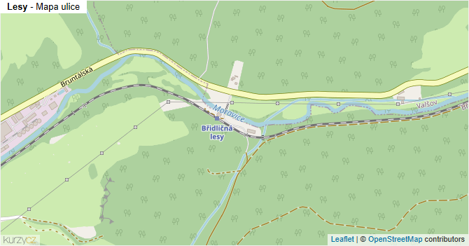Lesy - mapa ulice