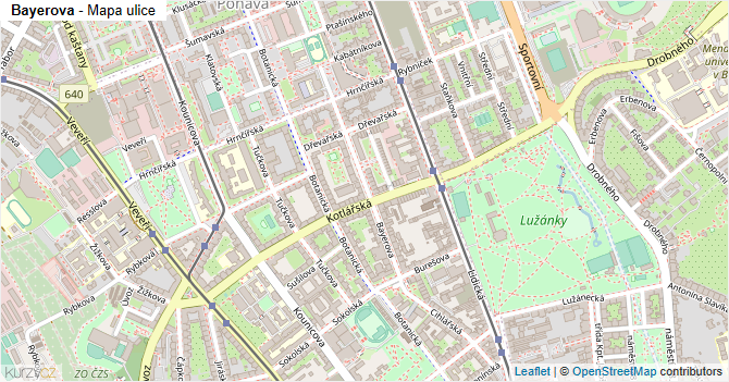 Bayerova - mapa ulice