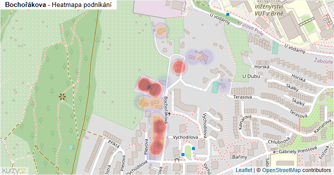 Bochořákova - mapa podnikání