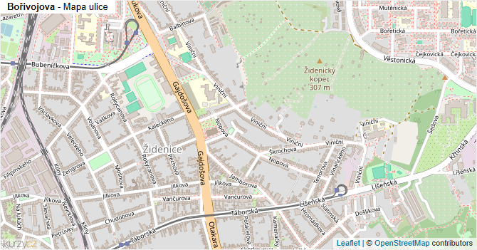 Bořivojova - mapa ulice