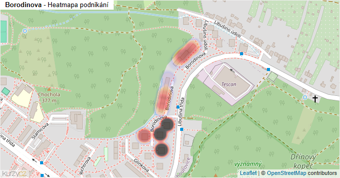 Borodinova - mapa podnikání