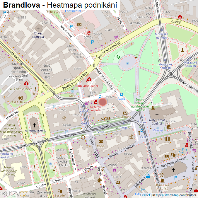 Mapa Brandlova - Firmy v ulici.