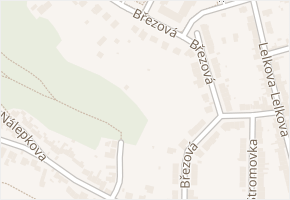 Březová v obci Brno - mapa ulice