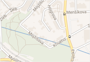 Černíkova v obci Brno - mapa ulice