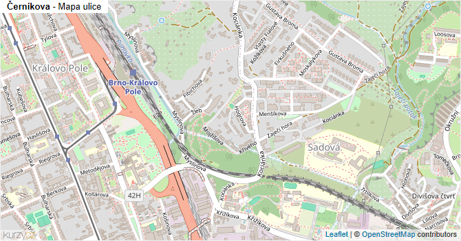 Černíkova - mapa ulice
