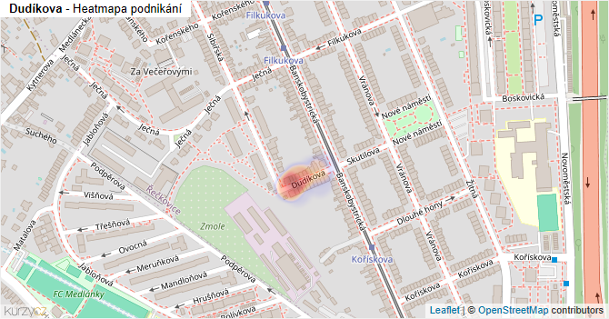 Dudíkova - mapa podnikání