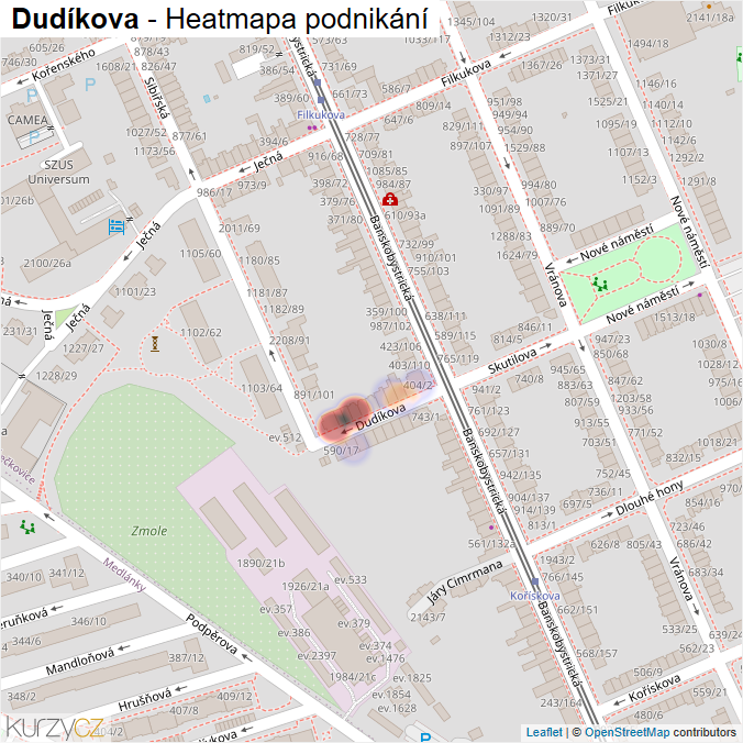 Mapa Dudíkova - Firmy v ulici.
