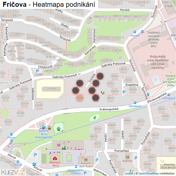 Mapa Fričova - Firmy v ulici.