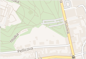 Hlídka v obci Brno - mapa ulice