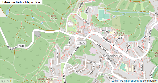 Libušina třída - mapa ulice