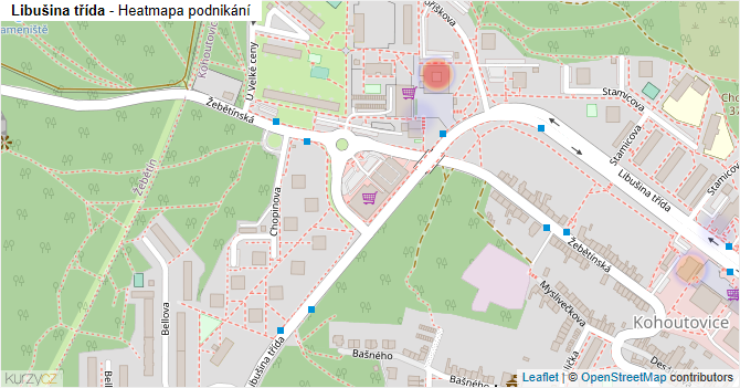 Libušina třída - mapa podnikání