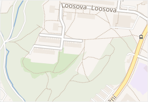 Loosova v obci Brno - mapa ulice
