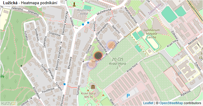 Lužická - mapa podnikání
