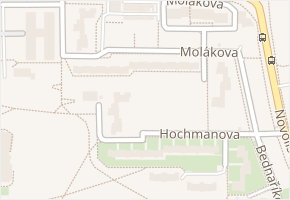 Molákova v obci Brno - mapa ulice