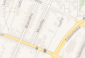 Mozolky v obci Brno - mapa ulice