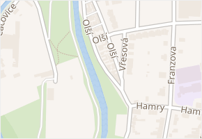 Olší v obci Brno - mapa ulice