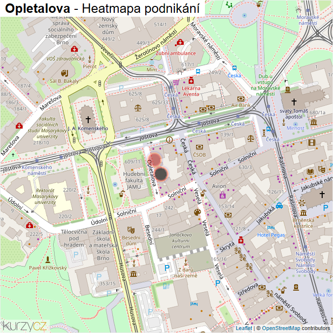 Mapa Opletalova - Firmy v ulici.