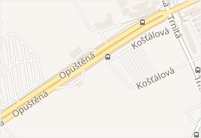 Opuštěná v obci Brno - mapa ulice