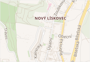 Palouk v obci Brno - mapa ulice