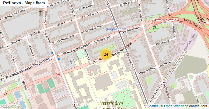 Pešinova - mapa firem