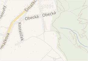 Podlesná v obci Brno - mapa ulice