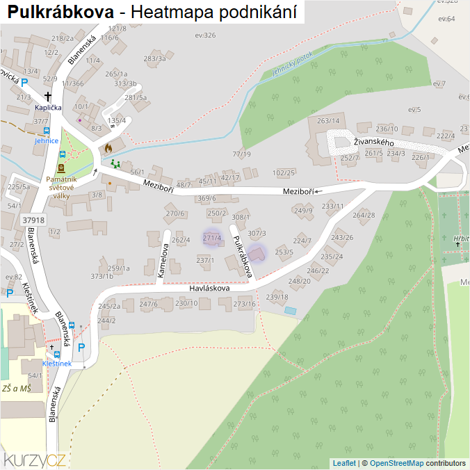 Mapa Pulkrábkova - Firmy v ulici.