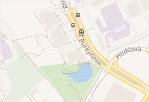 Purkyňova v obci Brno - mapa ulice