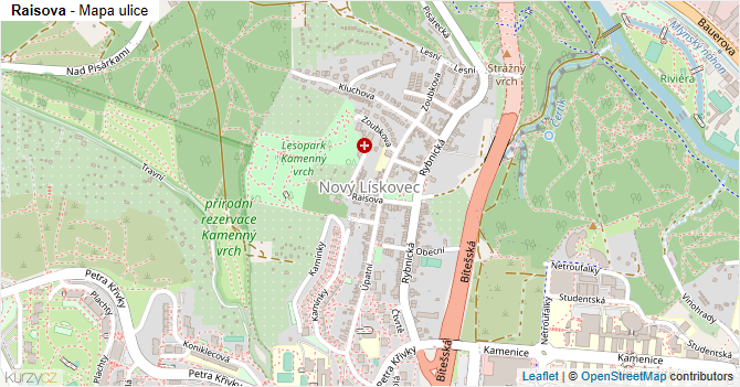 Raisova - mapa ulice