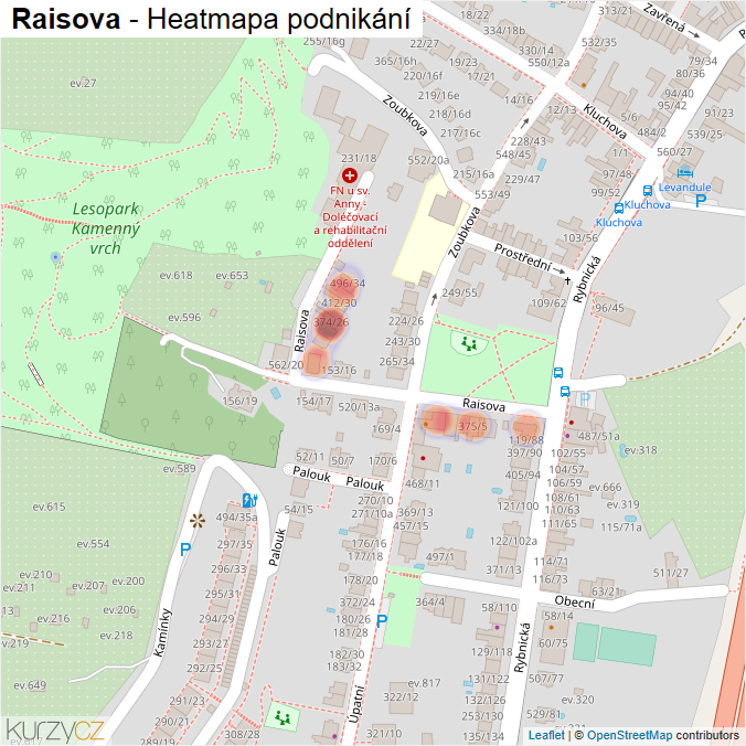 Mapa Raisova - Firmy v ulici.
