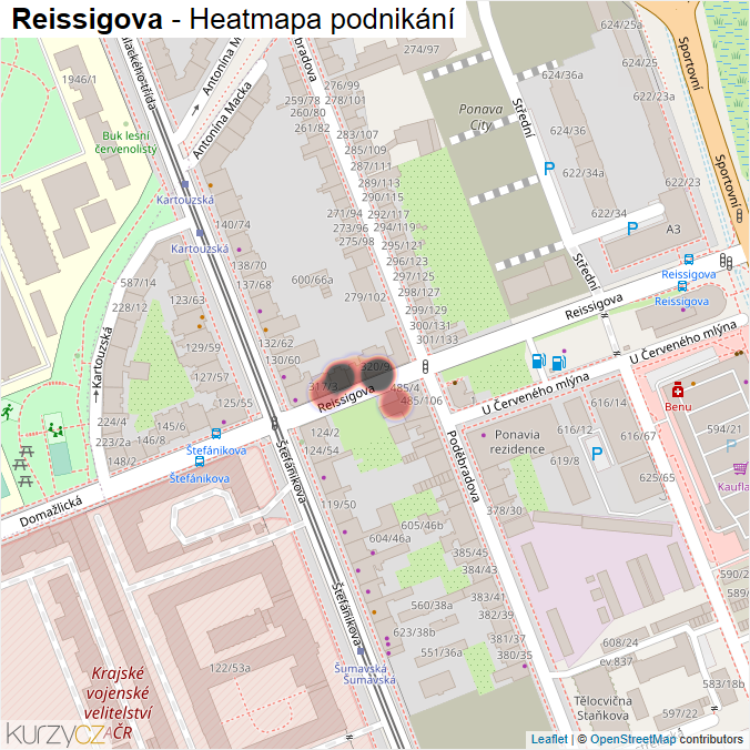 Mapa Reissigova - Firmy v ulici.