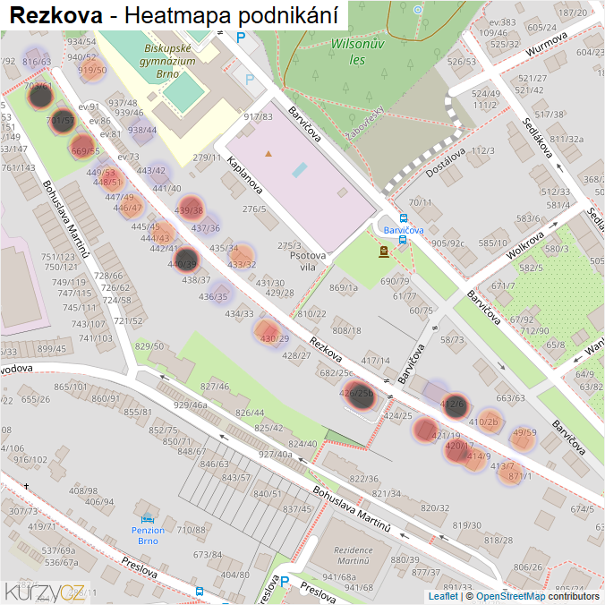 Mapa Rezkova - Firmy v ulici.