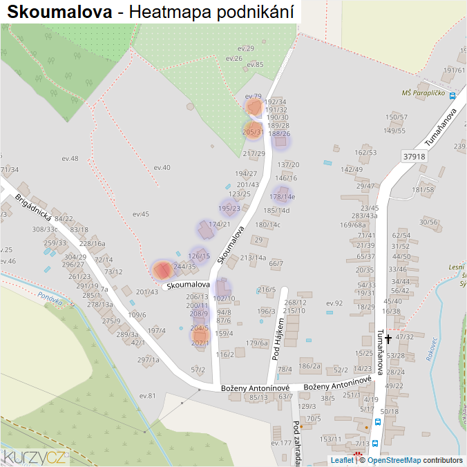 Mapa Skoumalova - Firmy v ulici.
