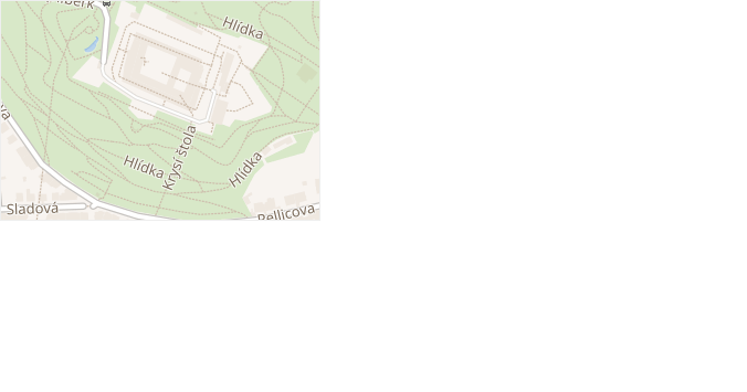 Špilberk v obci Brno - mapa ulice