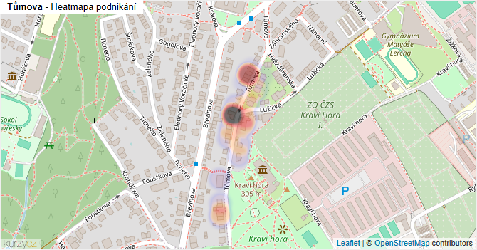 Tůmova - mapa podnikání