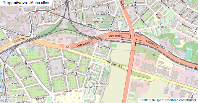 Turgeněvova - mapa ulice