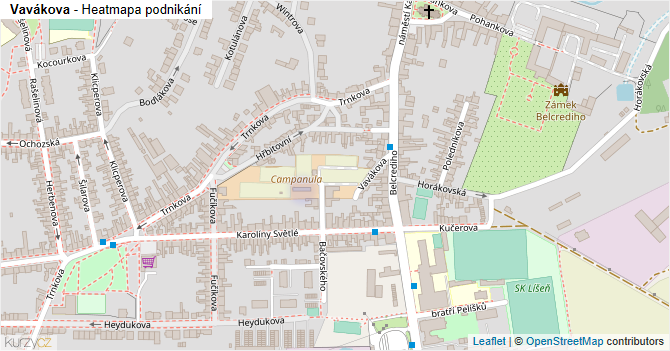 Vavákova - mapa podnikání