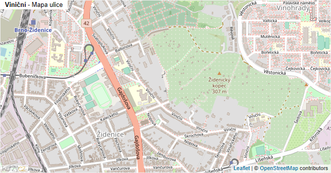 Viniční - mapa ulice