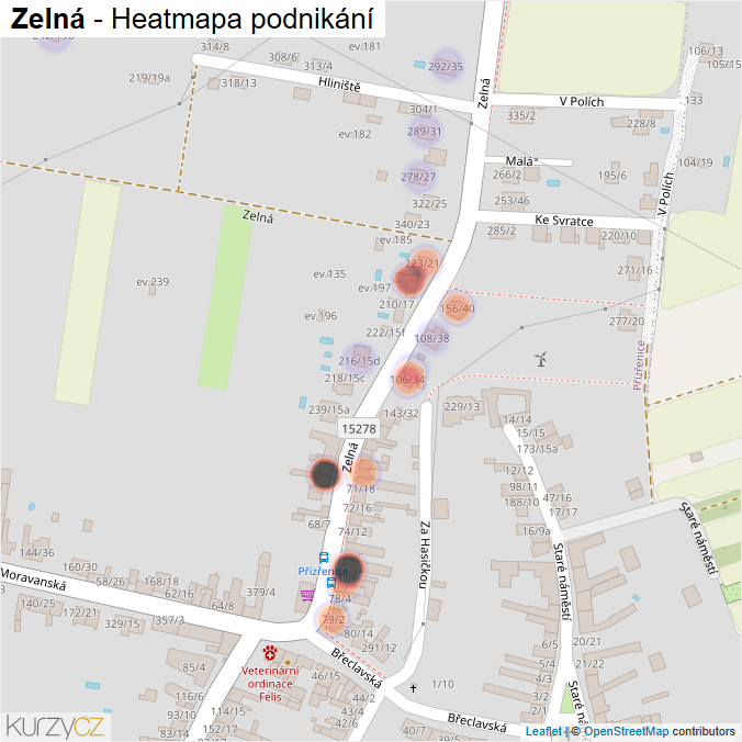 Mapa Zelná - Firmy v ulici.