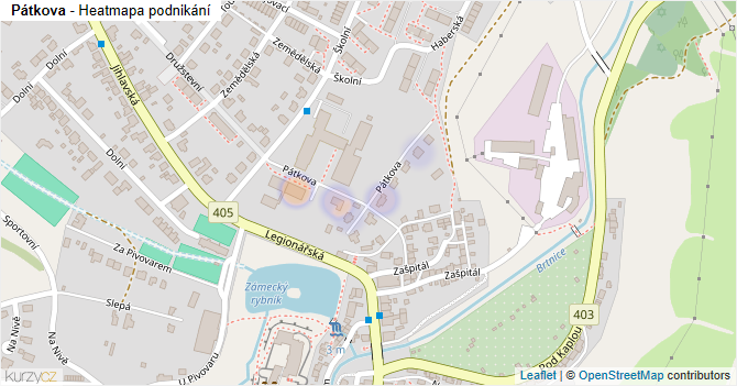 Pátkova - mapa podnikání