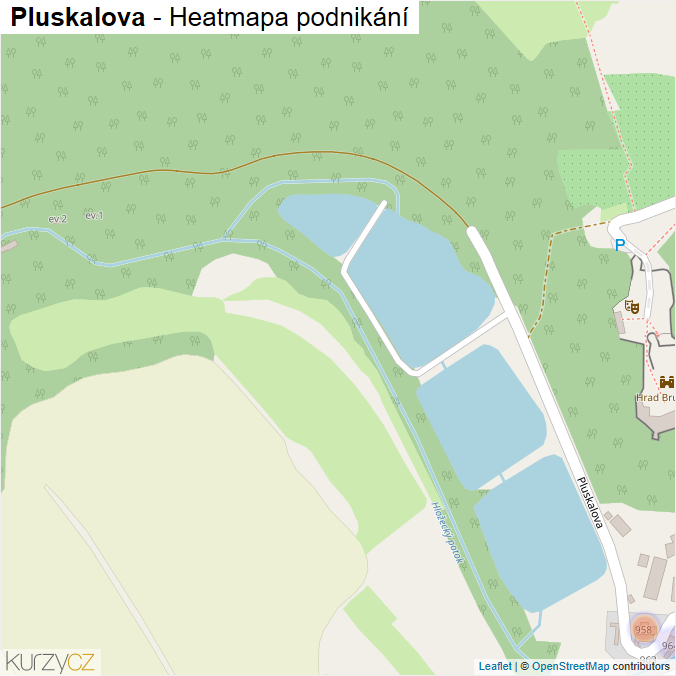 Mapa Pluskalova - Firmy v ulici.