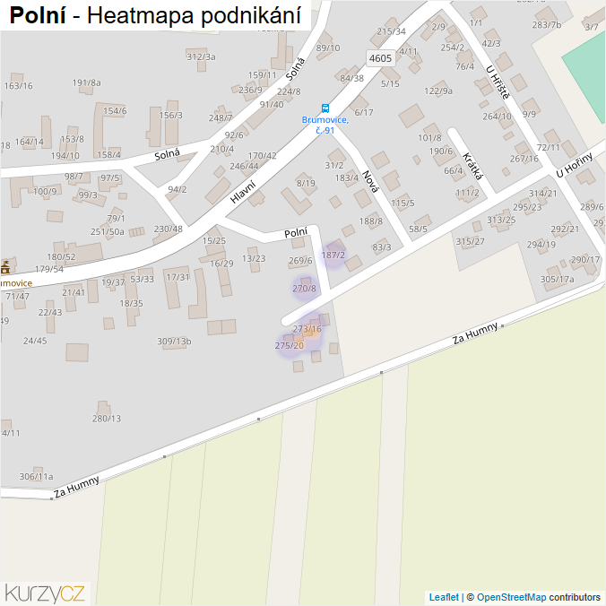 Mapa Polní - Firmy v ulici.
