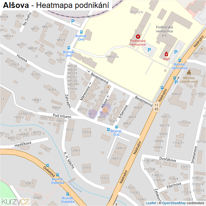 Mapa Alšova - Firmy v ulici.