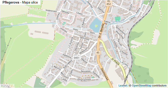 Pflegerova - mapa ulice