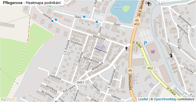Pflegerova - mapa podnikání