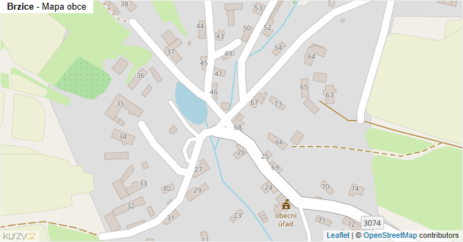 Brzice - mapa obce