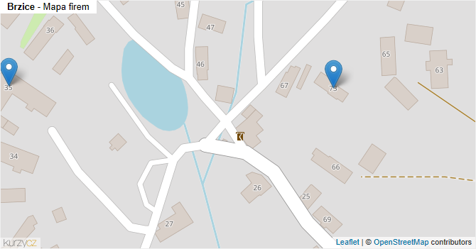 Brzice - mapa firem