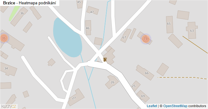 Brzice - mapa podnikání